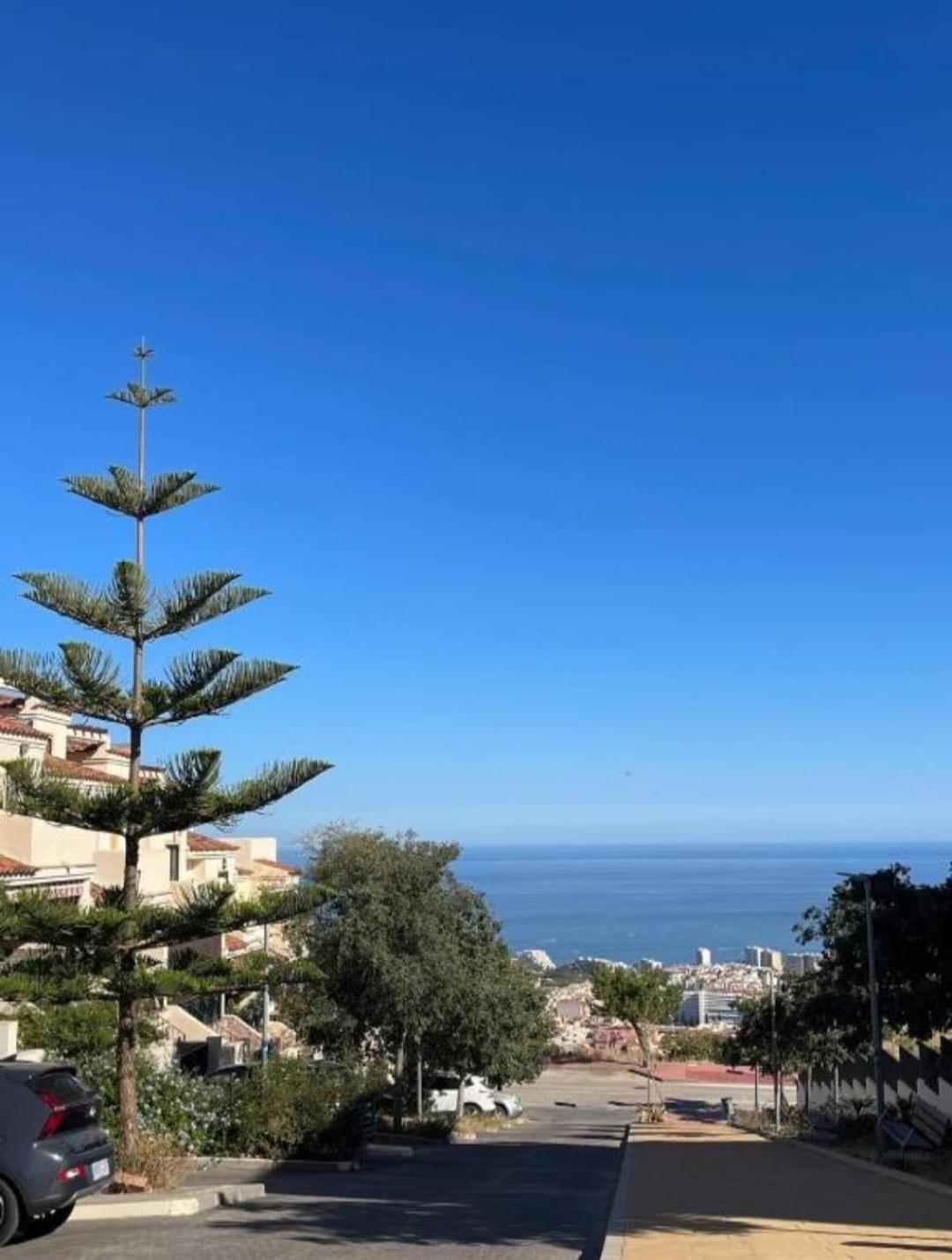 Mimosas Benalmádena